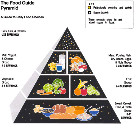 {Food Guide Pyramid}